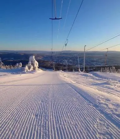 아파트 Skimore Retreat Kongsberg, Modern - Sauna - Ev Charging 콩스베르그